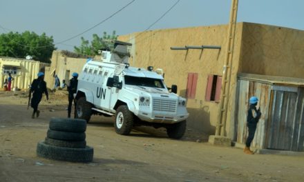 Cinq choses à savoir sur le Mali