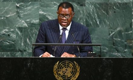 « On demande aux Africains ce qu’on ne demande pas aux autres », pour le président namibien