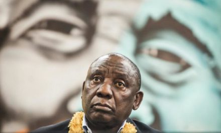 Afrique du Sud: un ex-élu local arrêté pour insulte raciste envers le président