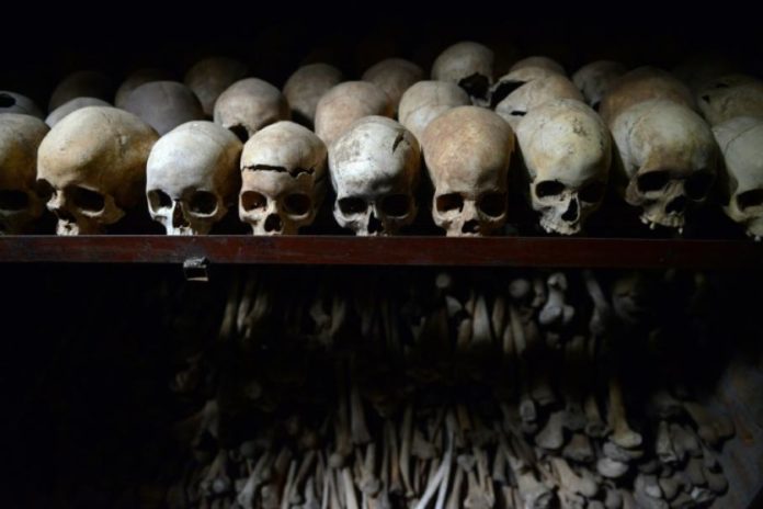 Des crânes de victimes du génocide au Rwanda exposés au mémorial de Ntarama, à Kigali, en avril 2019 afp.com - Jacques NKINZINGABO