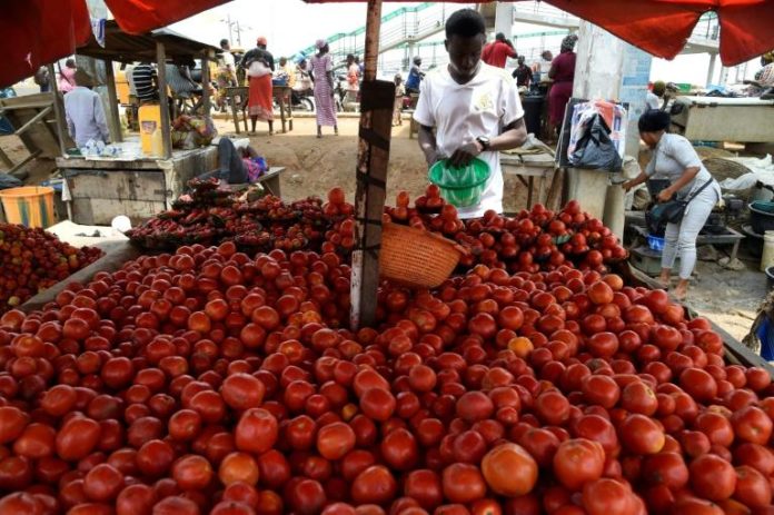 Un vendeur de tomates sur un marché de Mowe, dans l'Etat nigérian d'Ogun (Sud-Ouest), le 19 avril 2021 afp.com - PIUS UTOMI EKPEI