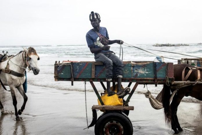Un homme sur sa carriole arrive sur la plage près du marché aux poissons, à Dakar le 28 avril 2021 afp.com - JOHN WESSELS